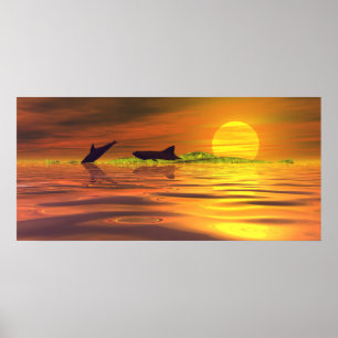 Affiche Requin dauphin le jeu de la vie