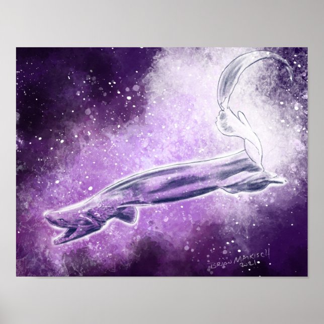 Affiche Requin frisé (Devant)