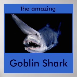 Affiche Requin gobelin