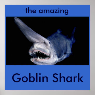 Affiche Requin gobelin