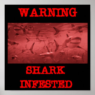 AFFICHE REQUIN INFESTÉ