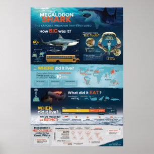 Affiche Requin Megalodon - Predator! 24 x 36 pouces