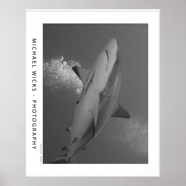 Affiche Requin noir Tip Reef (Devant)