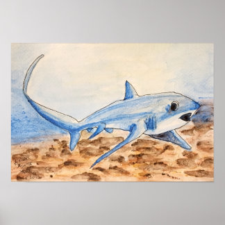 Affiche Requin renard