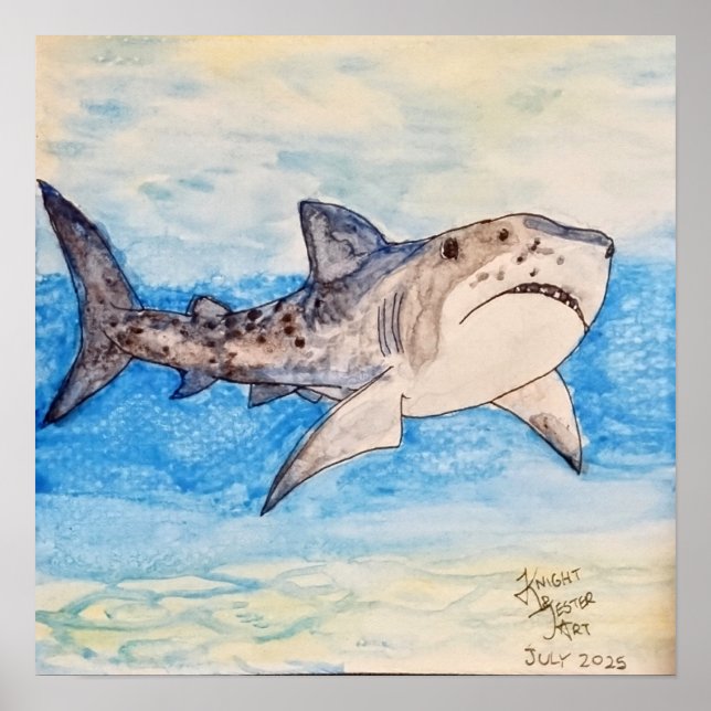 Affiche Requin Tigre (Devant)