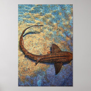 Affiche Requin zèbre coloré