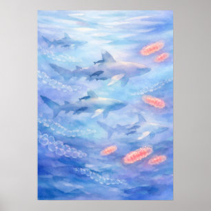 Affiche Requins Océaniques à Pointes Blanches Art Aquarell