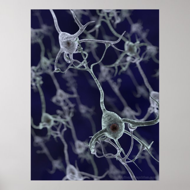 Affiche Réseau neuronal (Devant)