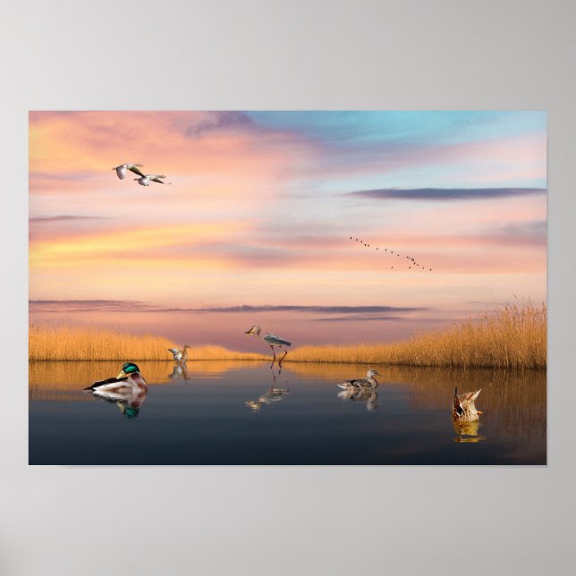 Affiche Réserve de faune (Devant)