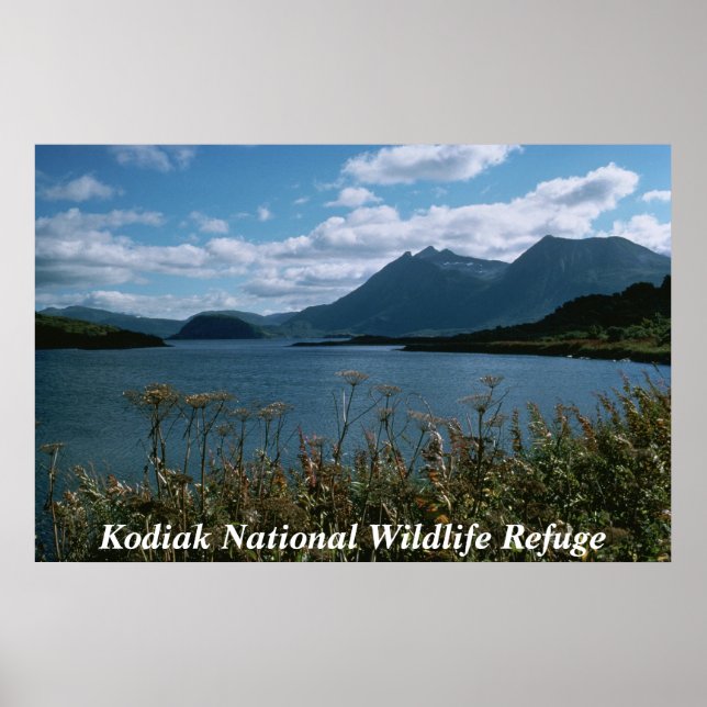 Affiche Réserve faunique nationale de Kodiak (Devant)