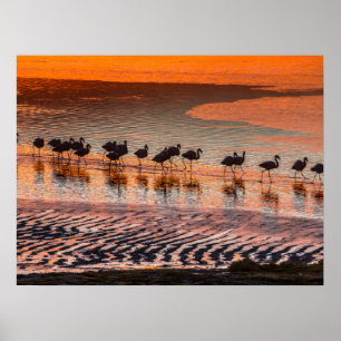 Affiche Réserve nationale de faune andine Eduardo Abaroa