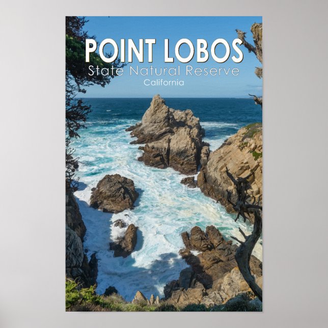 Affiche Réserve naturelle d'État de Point Lobos Californie (Devant)