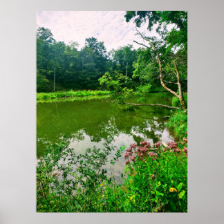 AFFICHE RÉSERVE NATURELLE D'ITHACA NEW YORK