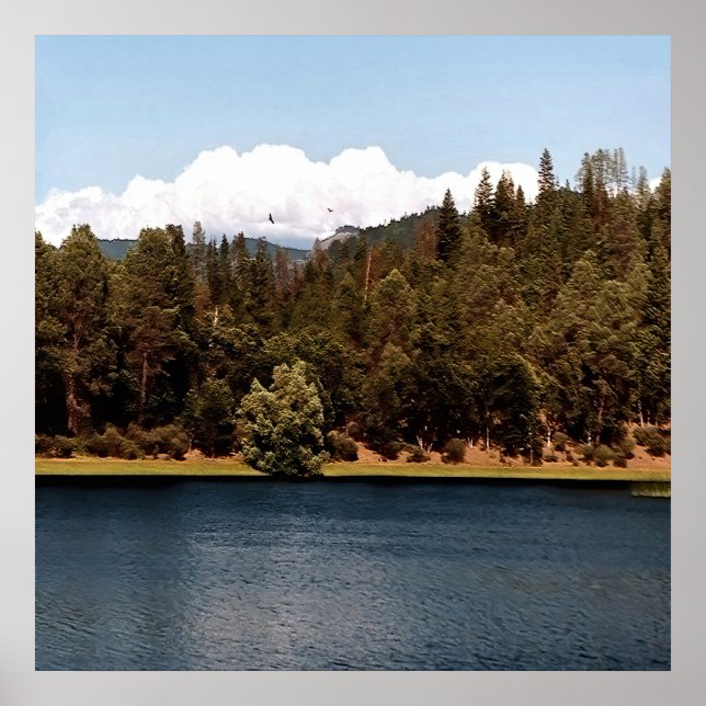 Affiche Réservoir à voilure.... (Devant)