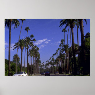 Affiche Résidentiel Rodeo Drive, Beverly Hills, Californie