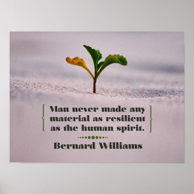 Affiche Résilient comme l'Esprit Humain (Devant)