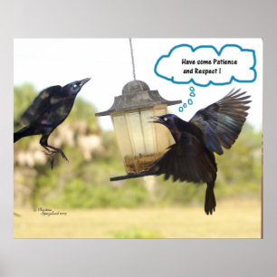 Affiche Respect de la patience Ravens Crows oiseau Imprime