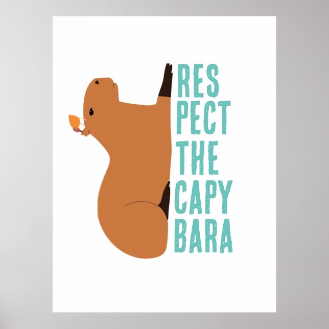 Affiche Respectez le capybara (Devant)