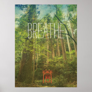Affiche Respire le Kyoto Shinto Shrine Forêt Arbres Nature