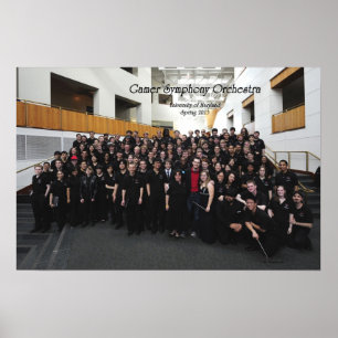 Affiche Ressort de GSO de 'photo 13 groupes (remplaçant)