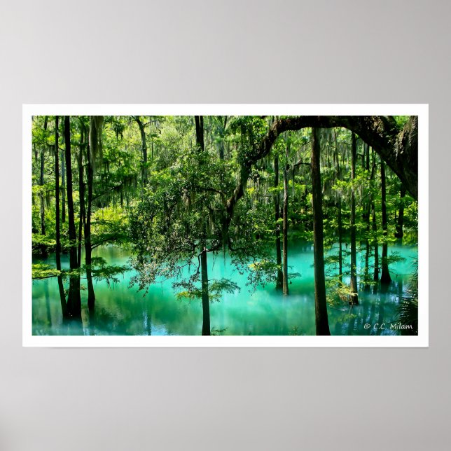 Affiche Ressort de radium, Albany, Géorgie (Devant)