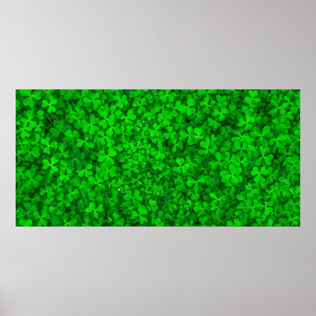 Affiche Ressort shamrock vert feuille (Devant)