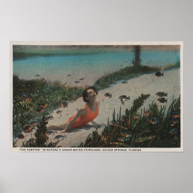 Affiche Ressorts d'argent, FL - Femme nageant sous l'eau (Devant)