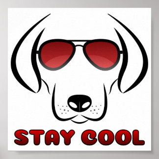 Affiche Restez Cool - Chien
