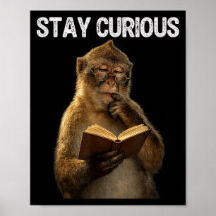 Affiche Restez curieux singe drôle bibliophile en train de