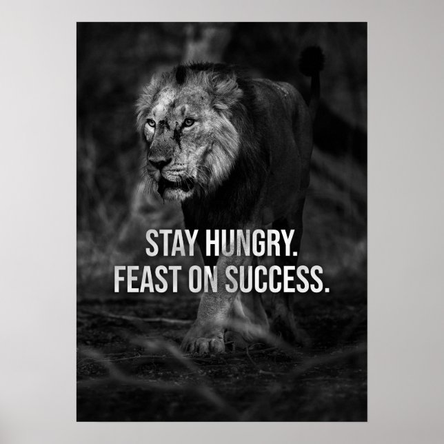 Affiche Restez Faim, Fête Du Succès, Lion - Motivation (Devant)