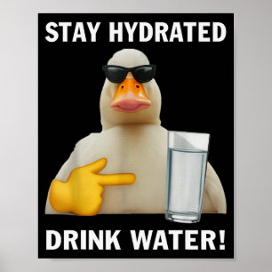 Affiche Restez Hydratés Buvez de l'Eau Mème Drôle Canard