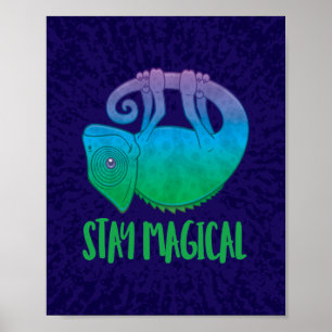 Affiche Restez magique Lévitation Chameleon