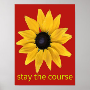 Affiche Restez sur le terrain. Tournesol photographié amél