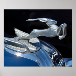 Affiche Rétablissement de l'ornement vintage de capot de v