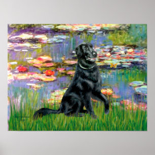 Affiche Retriever à poil plat 2 - Lys 2