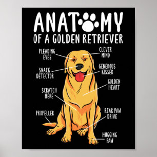 Affiche Retriever Dogs Anatomie d'une mère Golden Retrieve