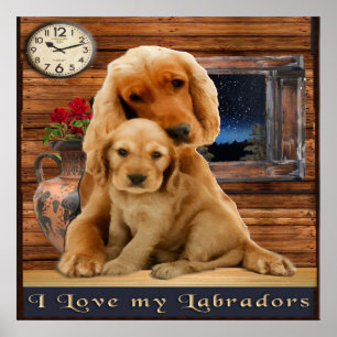 Affiche Retriever du Labrador