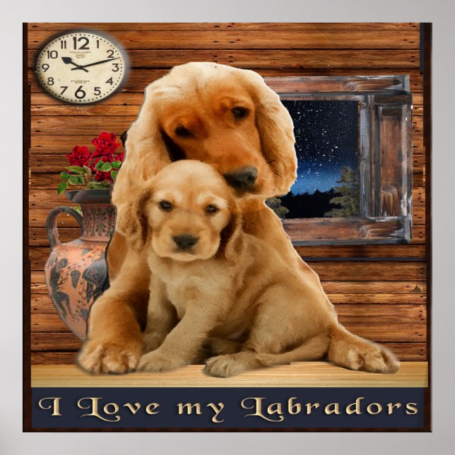 Affiche Retriever du Labrador (Devant)