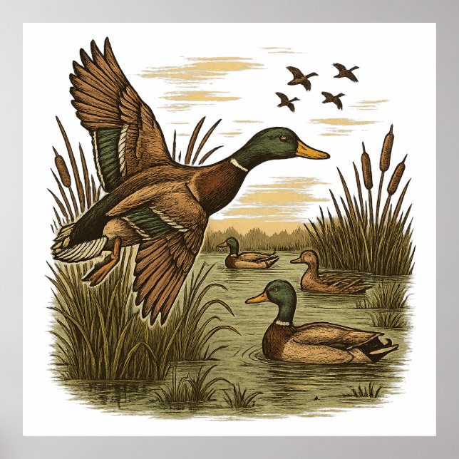 Affiche Retro-Flying-Mallard-Duck-Hunting,  (Devant)