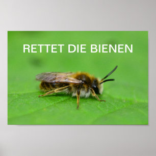 Affiche Rettet die Bienen