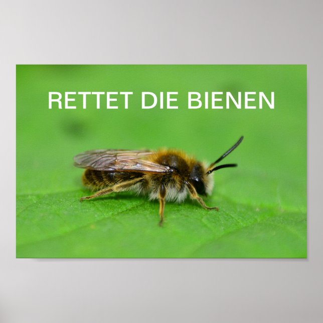 Affiche Rettet die Bienen (Devant)