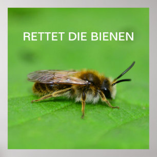 Affiche Rettet die Bienen