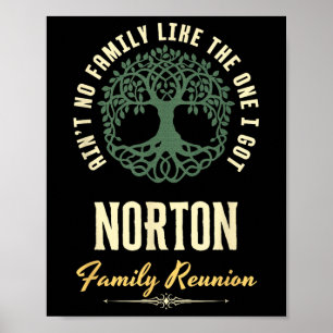 Affiche Réunion de famille 2025 Design Assorti - Norton