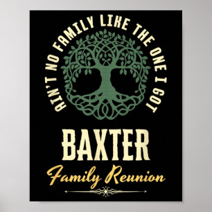 Affiche Reunion familiale 2025 Conception de jumelage - Ba
