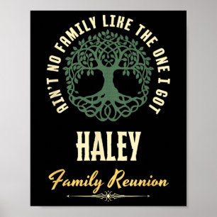 Affiche Reunion familiale 2025 Conception de jumelage - Ha