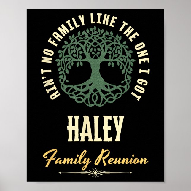 Affiche Reunion familiale 2025 Conception de jumelage - Ha (Devant)