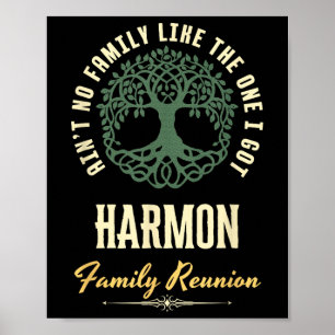 Affiche Reunion familiale 2025 Conception de jumelage - Ha