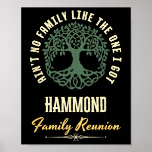 Affiche Reunion familiale 2025 Conception de jumelage - Ha