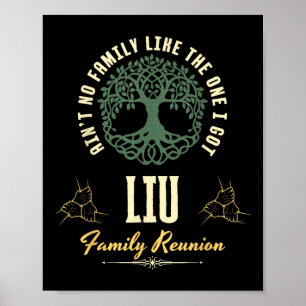 Affiche Reunion familiale 2025 Conception de jumelage - Li