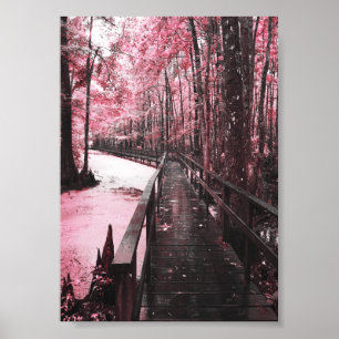 Affiche rêve de marécage sain